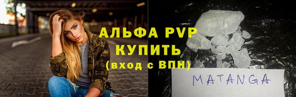 спиды Богданович