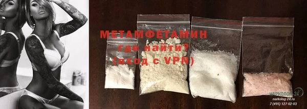 спиды Богданович