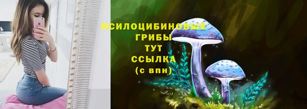 apvp Богородск
